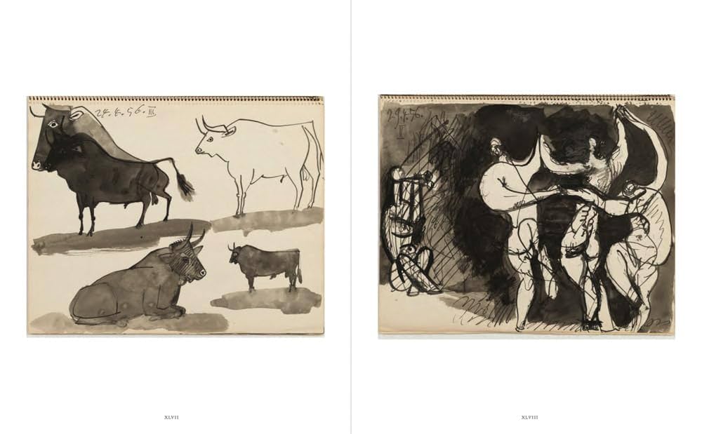 Amazon | Picasso: 14 Sketchbooks | Picasso, Pablo, McCully